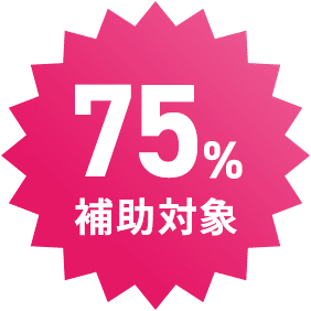 75%補助対象